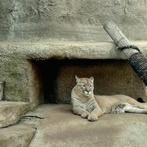 ���� ��������: 