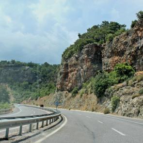 ����: ������ ������