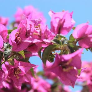 ����: �������� ������