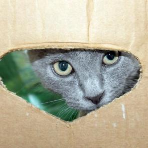 ����: � � ������