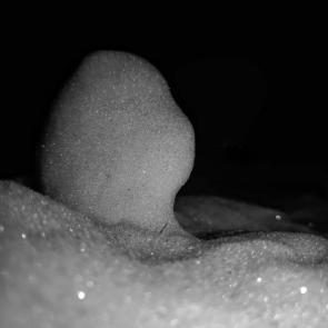 ����: ����