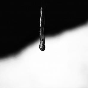 ����: �����-�����