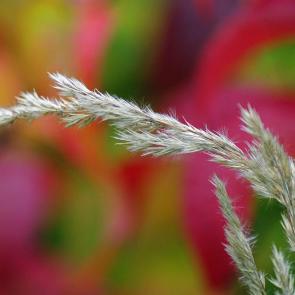 ����: �� ���� �����