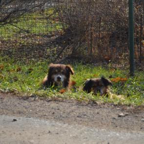 ���� ��������: ����� �� ������