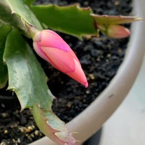 ���� ��������: ������!