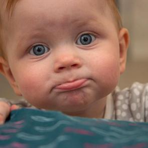 ����: ��������