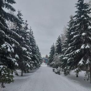 ����: ������� �����