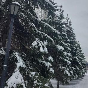 ����: ����