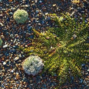 ����: ������� ������.