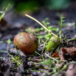 ����: ������ � ����� 