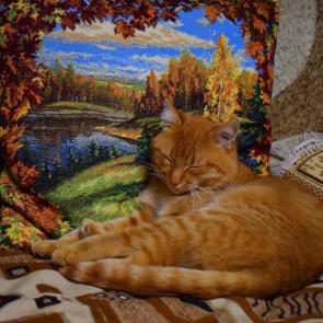 ����: ����� ���