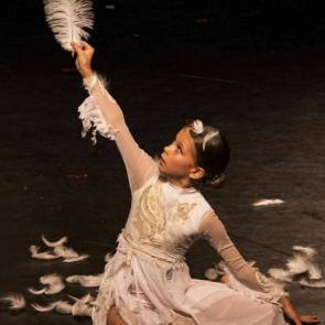 ����: ��������