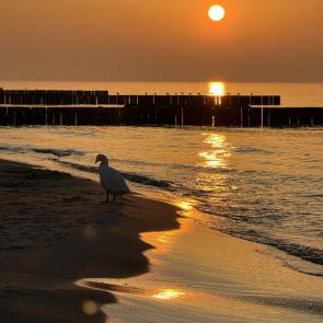 ����: ����� ������