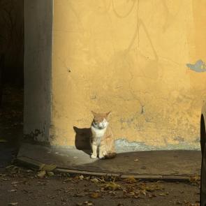 ����: ����� �� ������