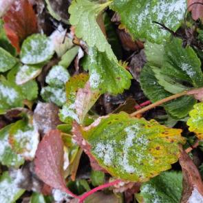 ����: ����� �������� �����