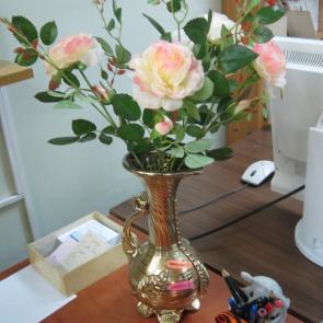 ����: ����� ���