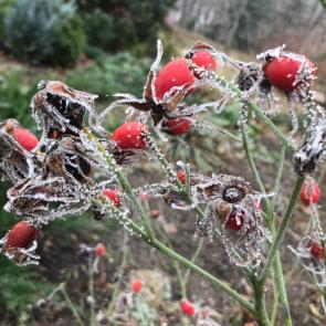 ����: ������ ������ 