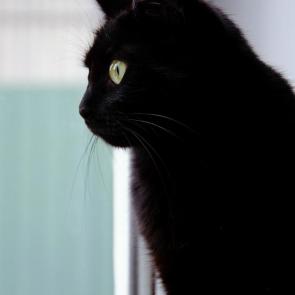 ����: ���� �� ����� �����..