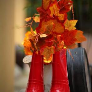 ����: ����� � ��������. 