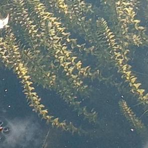 ����: ��������� ���