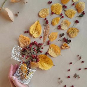 ����: ������� �������