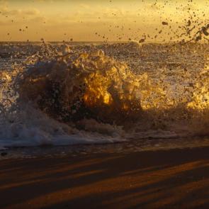 ����: � �������� �����