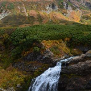 ����: �������