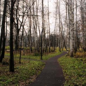 ���� ��������: 