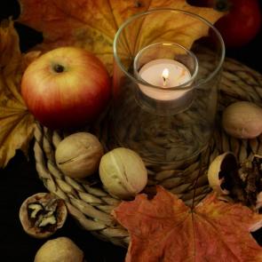 ����: ������ �����