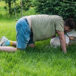 ����: ���������