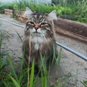 ���� ��������: �������� �� ����