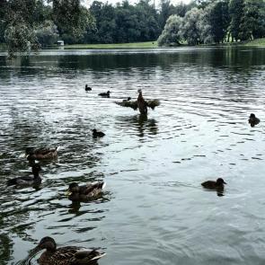 ����: ���������...���� �� ��?