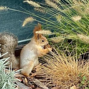 ����: ����� � ����