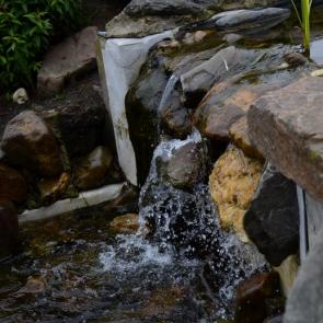 ����: �����