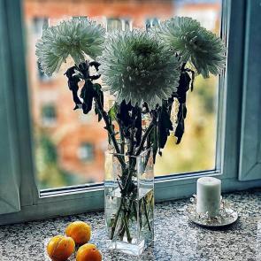 ����: �����