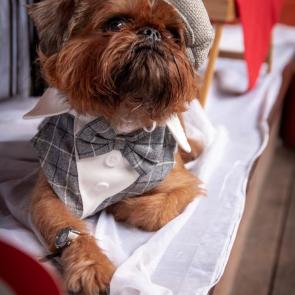 ����: ������ ����