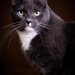 ����: �������������� ������