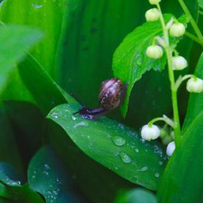 ����: ����� �����