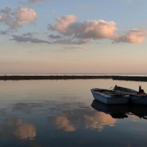 ����: ������� � ���������