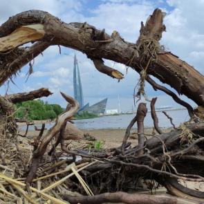 ����: ����� ����������