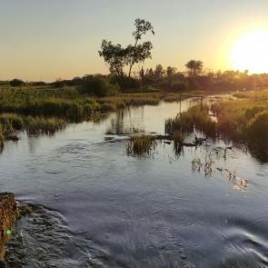 ����: �������� �������