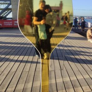 ���� ��������: �������� ���������� 