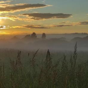 ����: �����. �������