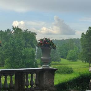 ����: ��������