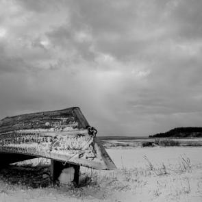 ���� ��������: � �������� 