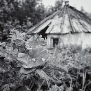 ���� ��������: ������� �����...