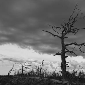 ���� ��������: �������� ��������� 