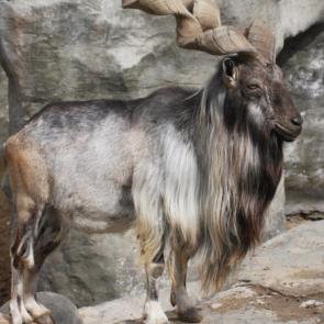 ����: �� �������