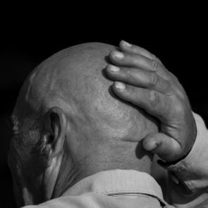 ����: ���������, ������