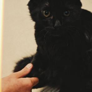 ����: ������